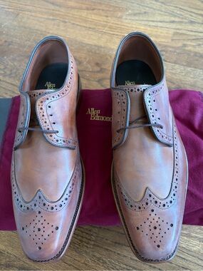 Allen Edmonds Brown Wingtip Derby Shoes